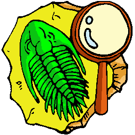 Trilobite clipart.png