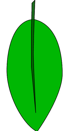 Galah clipart, 14.5