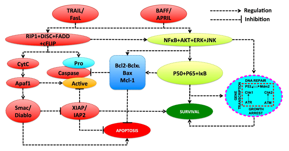 BioDiscovery Advocating the need of a systems biology approach for ...