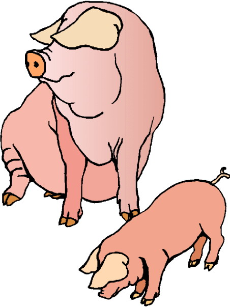 Clip Art - Clip art pigs 343417