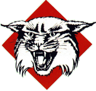 Davidson Wildcats Primary Logo - NCAA Division I (d-h) (NCAA d-h ...