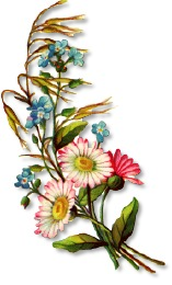 Free Daisy Clipart - Public Domain Flower clip art, images and ...