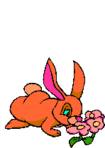 Gifs cats mice dogs rabbits