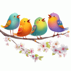 Colorful Birds on Branch