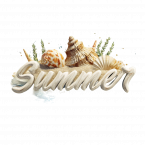 Beach Summer Text