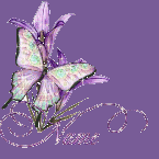 Butterfly Animated Email Signatures