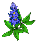 Free Flowers Clip Art by Phillip Martin, Bluebonnet