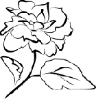 Image Search Results