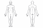 Human Body Diagram