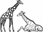 Baby giraffe clipart black and white