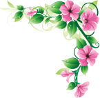Flowers Borders PNG Transparent Images | PNG All