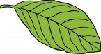 Apple Leaf Template